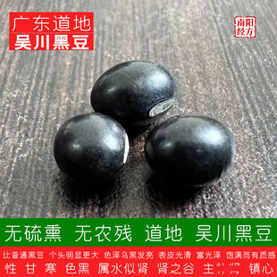 南阳经方 无农残道地黑大豆 无硫熏 药检级非转基因 乌皮青仁黑豆