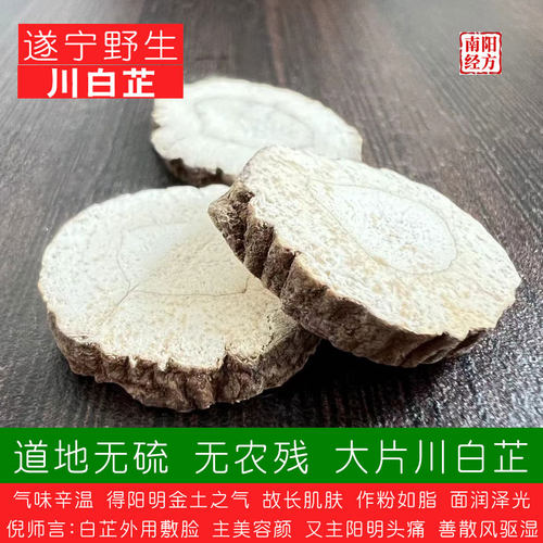 南阳经方 道地野白芷中药材 无硫熏无农残 无科技 正宗大片川白芷