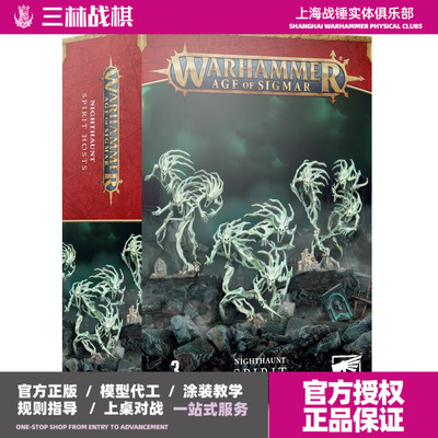 战锤 aos 西格玛 死亡 骷髅 幽灵群 Spirit Hosts