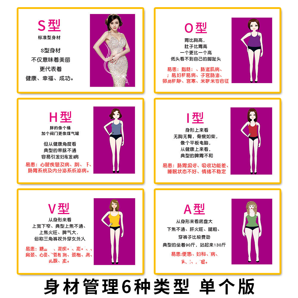 身材管理的6种类型海报定制单个幅张广告设计宣传kt展板装饰挂画