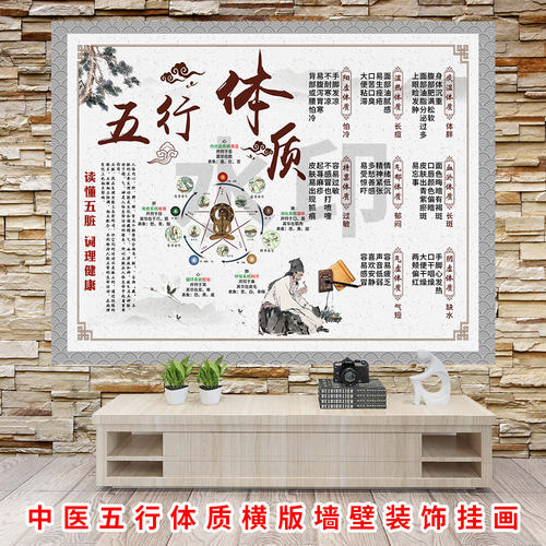 中医养生五行体质宣传广告横版墙壁装饰挂画九种体质海报图片贴纸