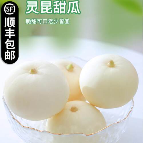 甜瓜温州本地灵昆白瓜现摘现发