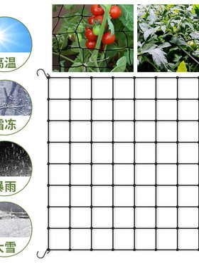 厂家直销植物爬藤网压枝网