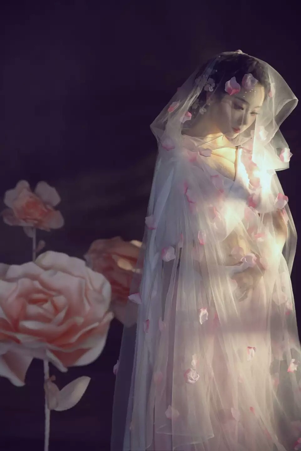 桃花仙女披肩透明网纱斗篷带帽子披风结婚拍照汉服公主美人贵妃装