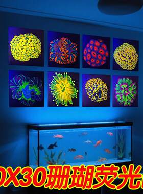 荧光画海缸装饰画海水鱼海洋生物珊瑚30厘米方现货