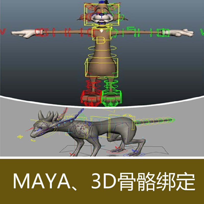MAYA、3DMAX角色骨骼绑定设定