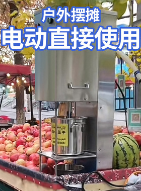 电动石榴压榨机榨汁机不锈钢