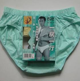 力加力一房一厅装的低腰印花保健内裤6210（裤裆短些）