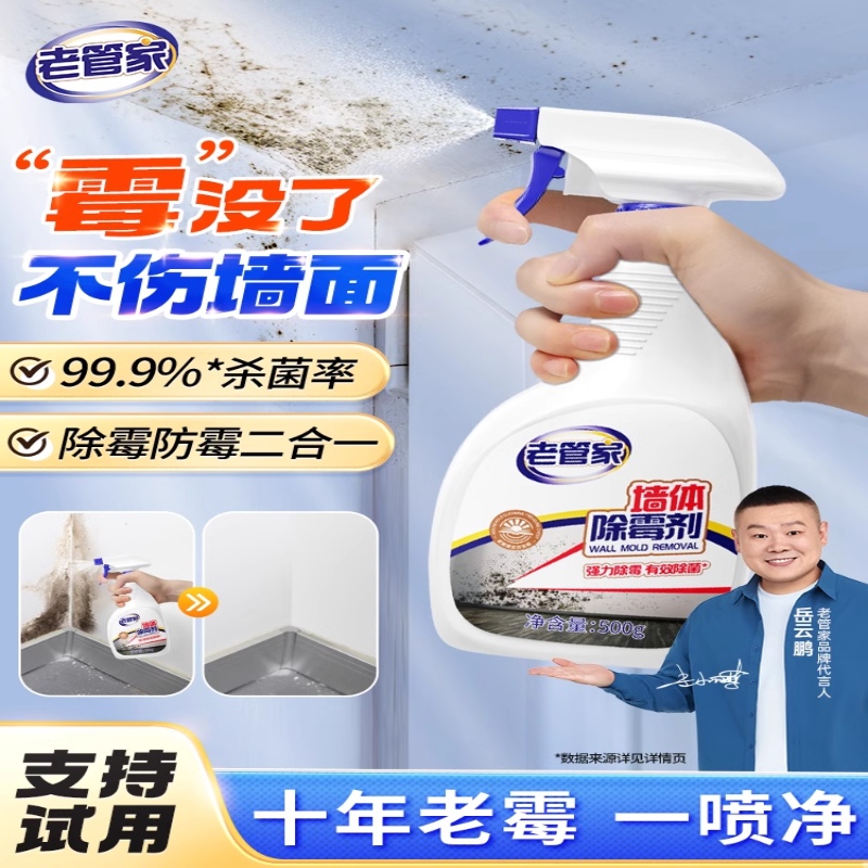 墙体除霉剂白墙家用墙面霉菌发霉