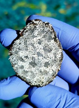 菲律宾bondoc中铁陨石博物馆级