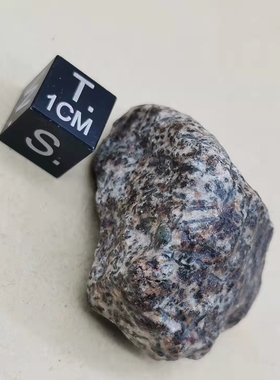 特殊地质标本ErgChech002陨石