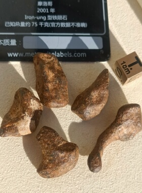 摩洛哥Taza铁陨石定向原石原皮