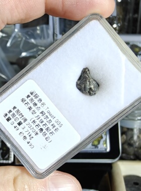 天然月球陨石标本长石角砾岩带卡