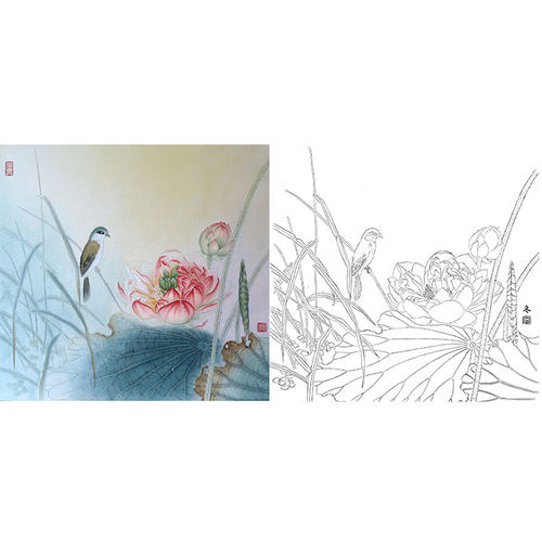 工笔画白描底稿荷花实物勾线白纸打印稿杨冬冬花鸟有步骤文字HD47