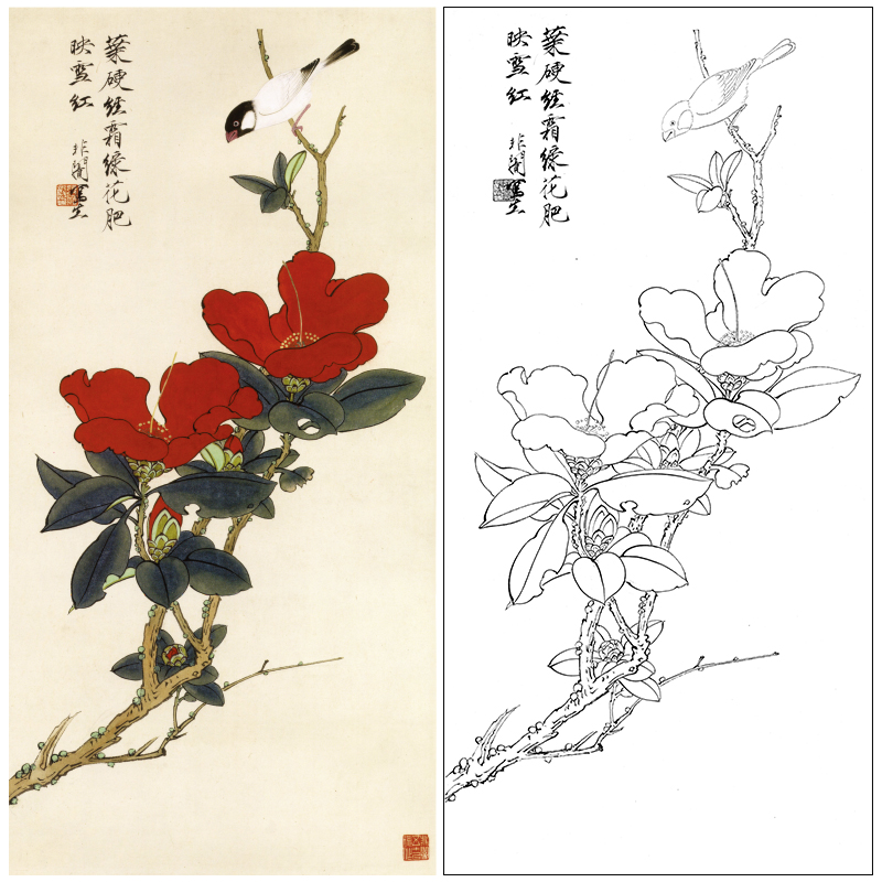 于非闇竖幅工笔花鸟白描底稿《山茶伯劳》临摹勾线高清打印稿YF54