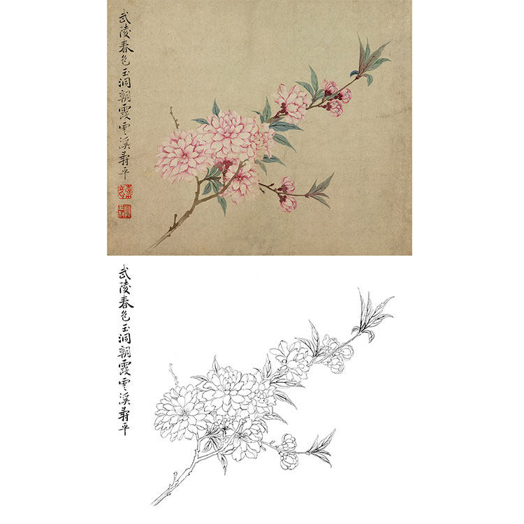 工笔画白描底稿恽寿平没骨花卉小品实物打印稿尺寸可选sp39