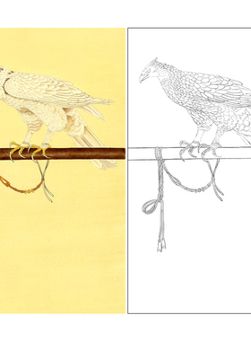 于非闇工笔画白描底稿《御鹰图》临摹勾线高清打印稿YL12