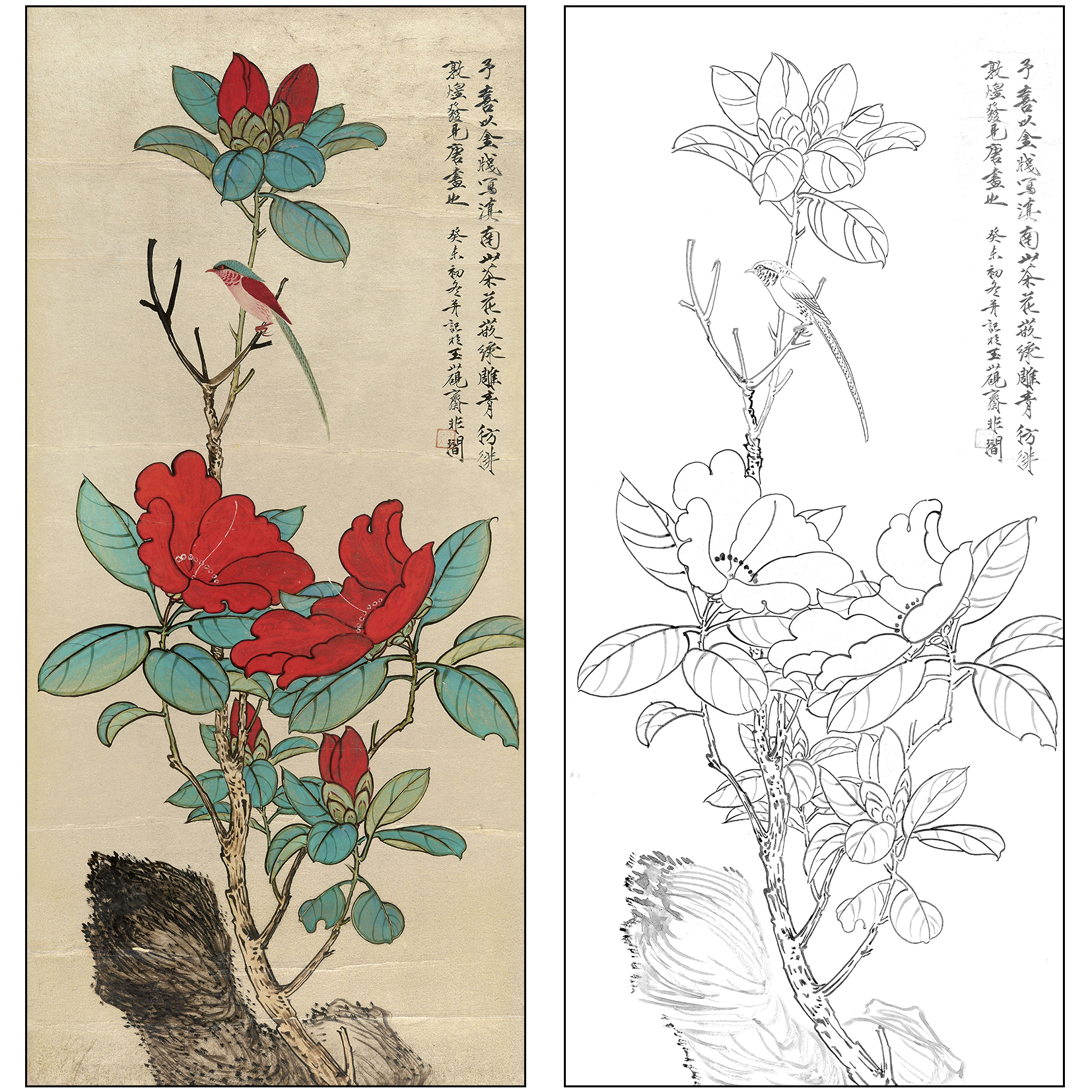 于非闇花鸟工笔画白描底稿《山茶小鸟》临摹勾线高清打印稿FA27