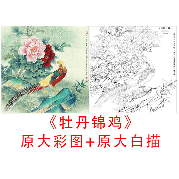 工笔花鸟斗方白描底稿李晓明-牡丹锦鸡-线描临摹实物打印稿839C