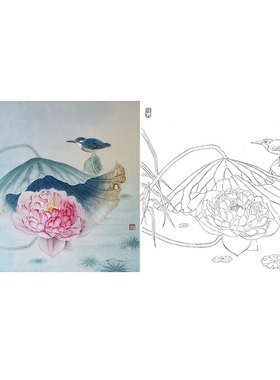 工笔画白描底稿荷花实物勾线白纸打印稿杨冬冬花鸟有步骤文字HD46
