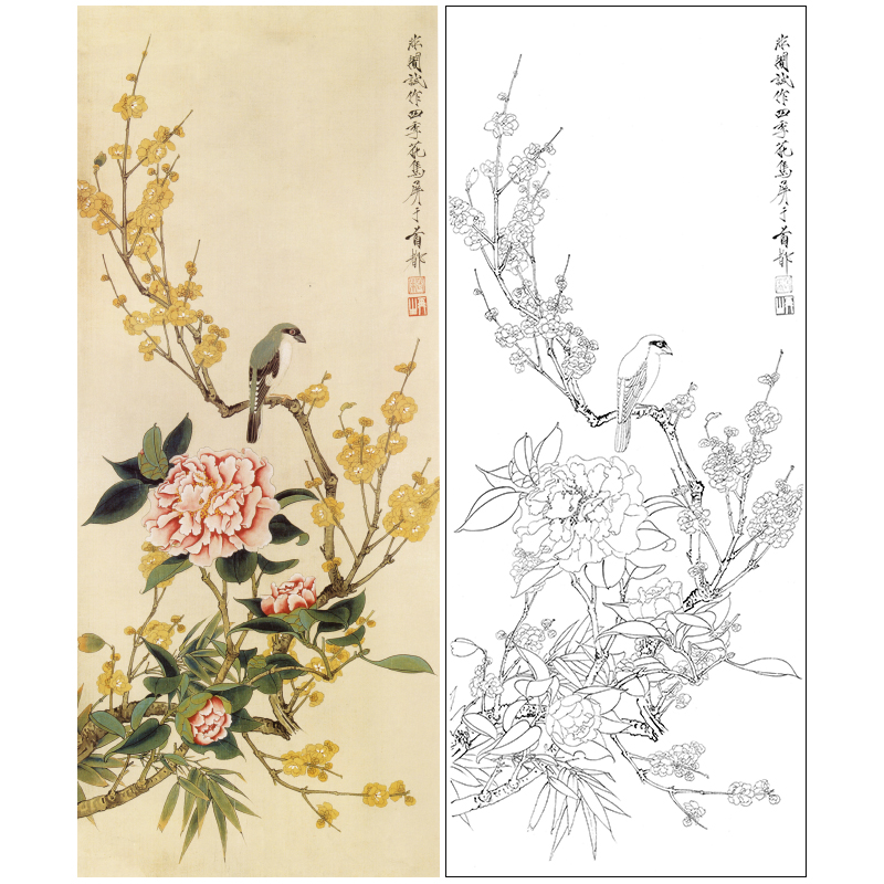 于非闇工笔花鸟白描底稿《山茶花梅花》临摹勾线高清打印稿YF12