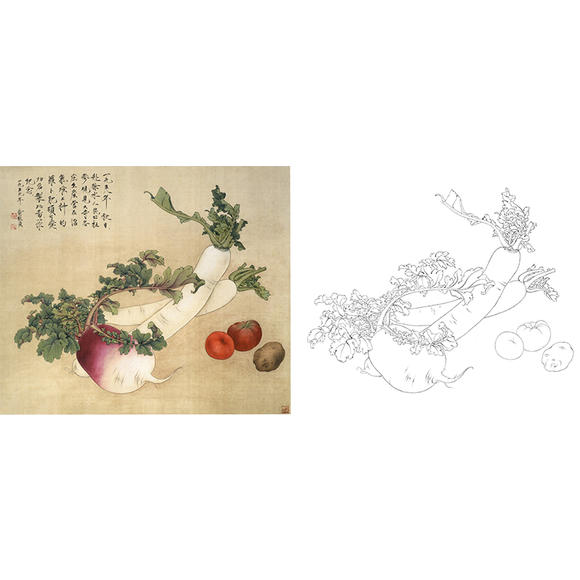 工笔画白描底稿萝卜实物勾线打印稿俞致贞菜园秋熟尺寸可选-jv32