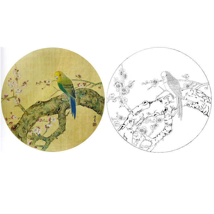 工笔画白描底稿实物勾线白纸打印稿龚雪青虎皮鹦鹉xq39