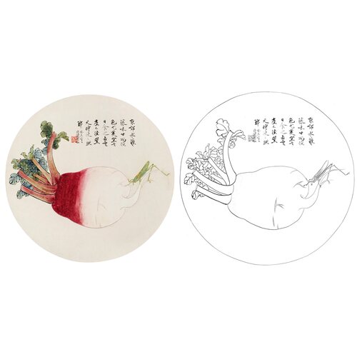 工笔画白描底稿于非闇花鸟《京郊水萝菔》临摹勾线高清打印稿AF09