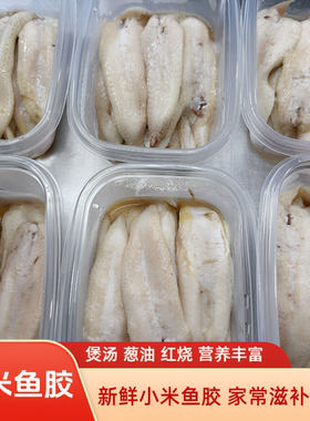 新鲜野生小米鱼胶新鲜营养
