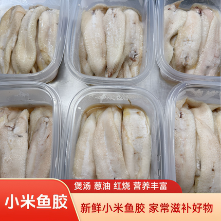 新鲜野生小米鱼胶 新鲜营养 炖汤煲汤