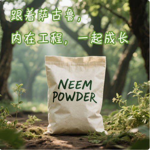 印度isha苦楝粉 姜黄印度天然清洁杀菌isha苦楝粉袋装100g/盒