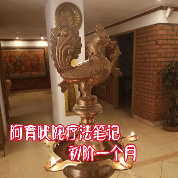阿育吠陀笔记油疗教程油浴课程