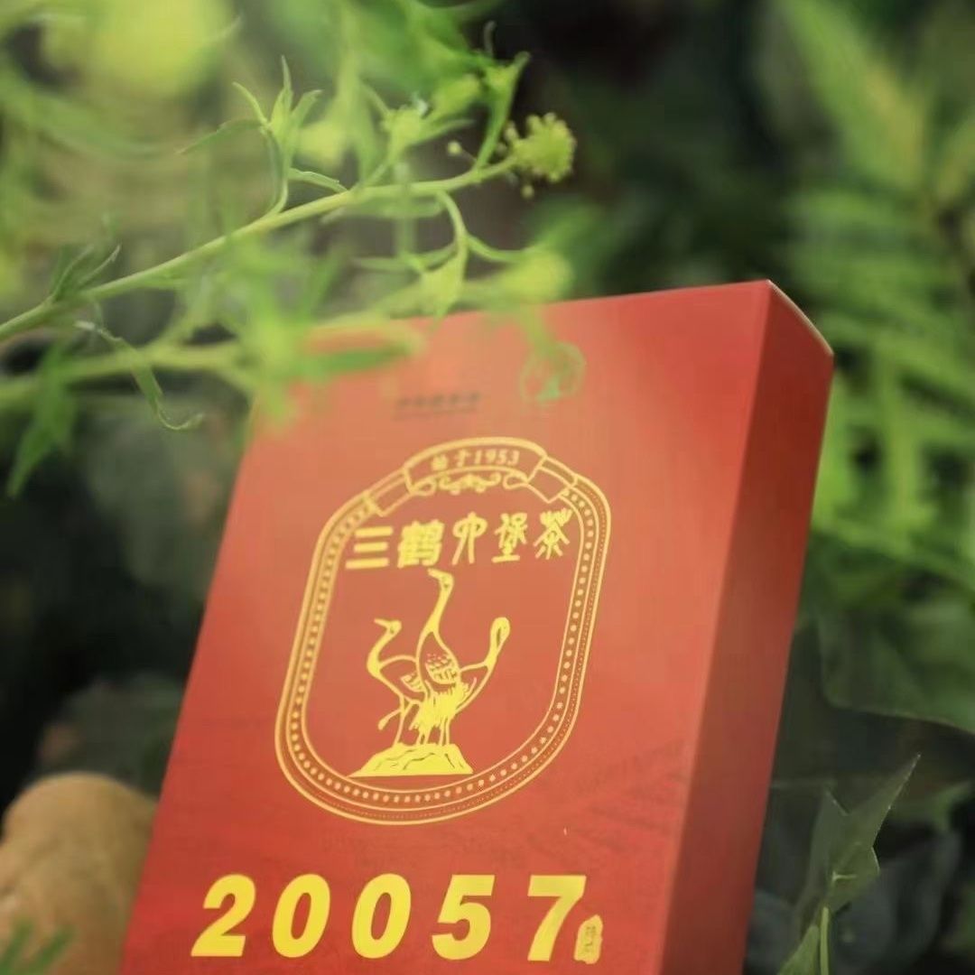 三鹤六堡茶20057茶砖 广西梧州茶厂黑茶250g