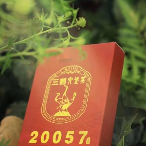 三鹤六堡茶20057茶砖 广西梧州茶厂黑茶250g