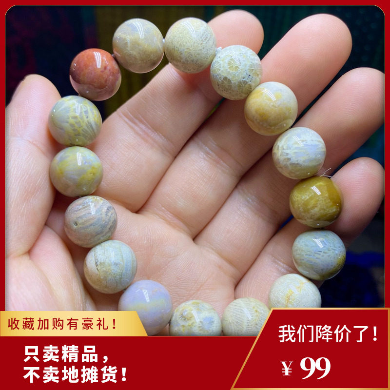 天然珊瑚玉手链菊花石手串男女款本命年礼物饰品