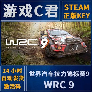 PC正版 Steam游戏 汽车拉力锦标赛9 WRC 9 激活码 国区 全球key