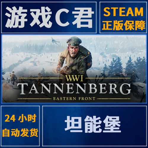 PC正版 Steam游戏 Tannenberg  坦能堡  激活码 国区 全球Key