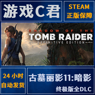 Steam正版 古墓丽影11:暗影 Shadow of the Tomb Raider 全球Key