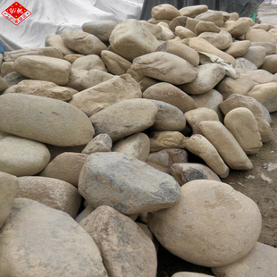 别墅大鹅卵石庭院装饰超大号石头河滩石花园点缀石围边摆件大石块