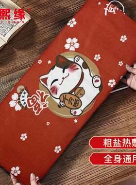 电加热大青盐盐袋热敷包理疗