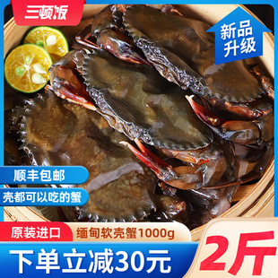 缅甸软壳蟹原装进口青蟹1000g/盒6只冷冻螃蟹梭子蟹顺丰包邮