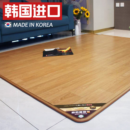 韩国进口加热地垫冬季客厅地热垫