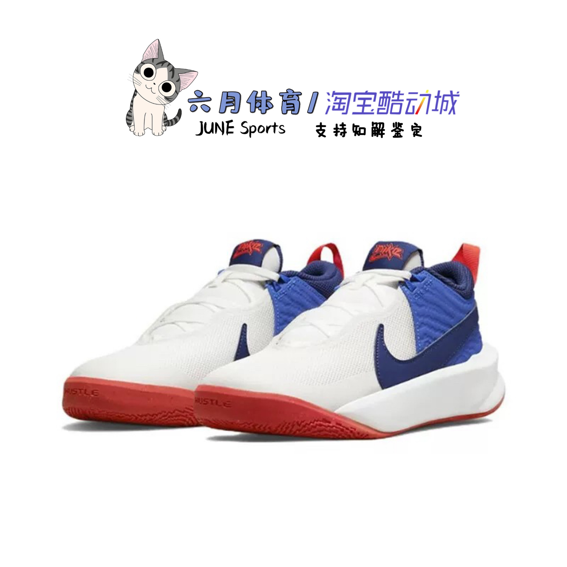Nike 耐克Team Hustle D 10实战大童篮球鞋休闲鞋CW6735-103