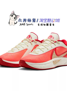 Nike  GIANNIS FREAK 6 EP男子实战训练运动篮球鞋HQ4079-100
