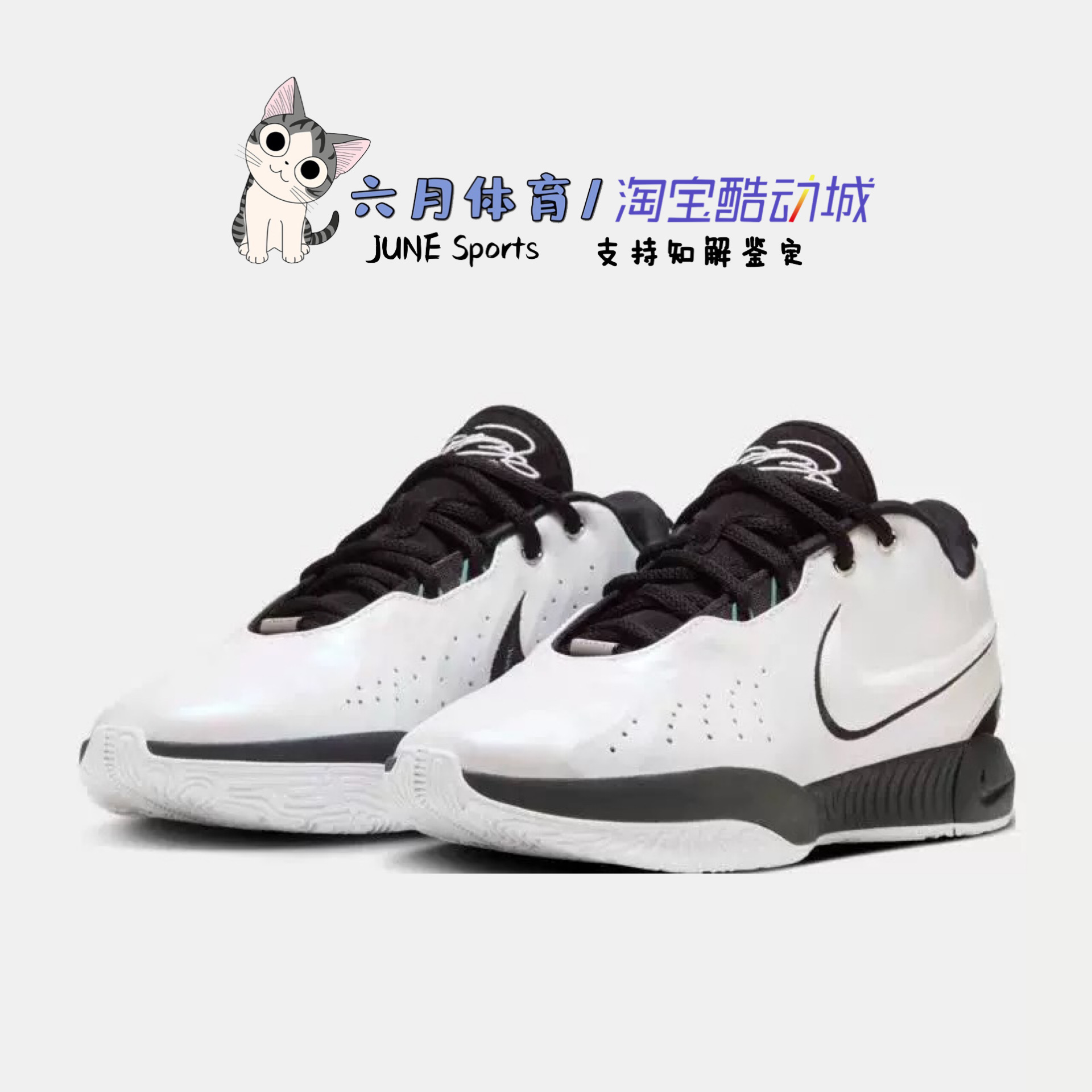 NikeLEBRON21詹姆斯21男子实战篮球鞋HF5842-100