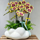 简约现代创意陶瓷花盆绿植桌面异形盆景盆