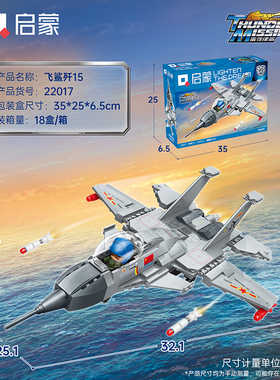 飞鲨歼15战斗机益智拼装积木模型6岁7儿童拼砌玩具礼物启蒙22017