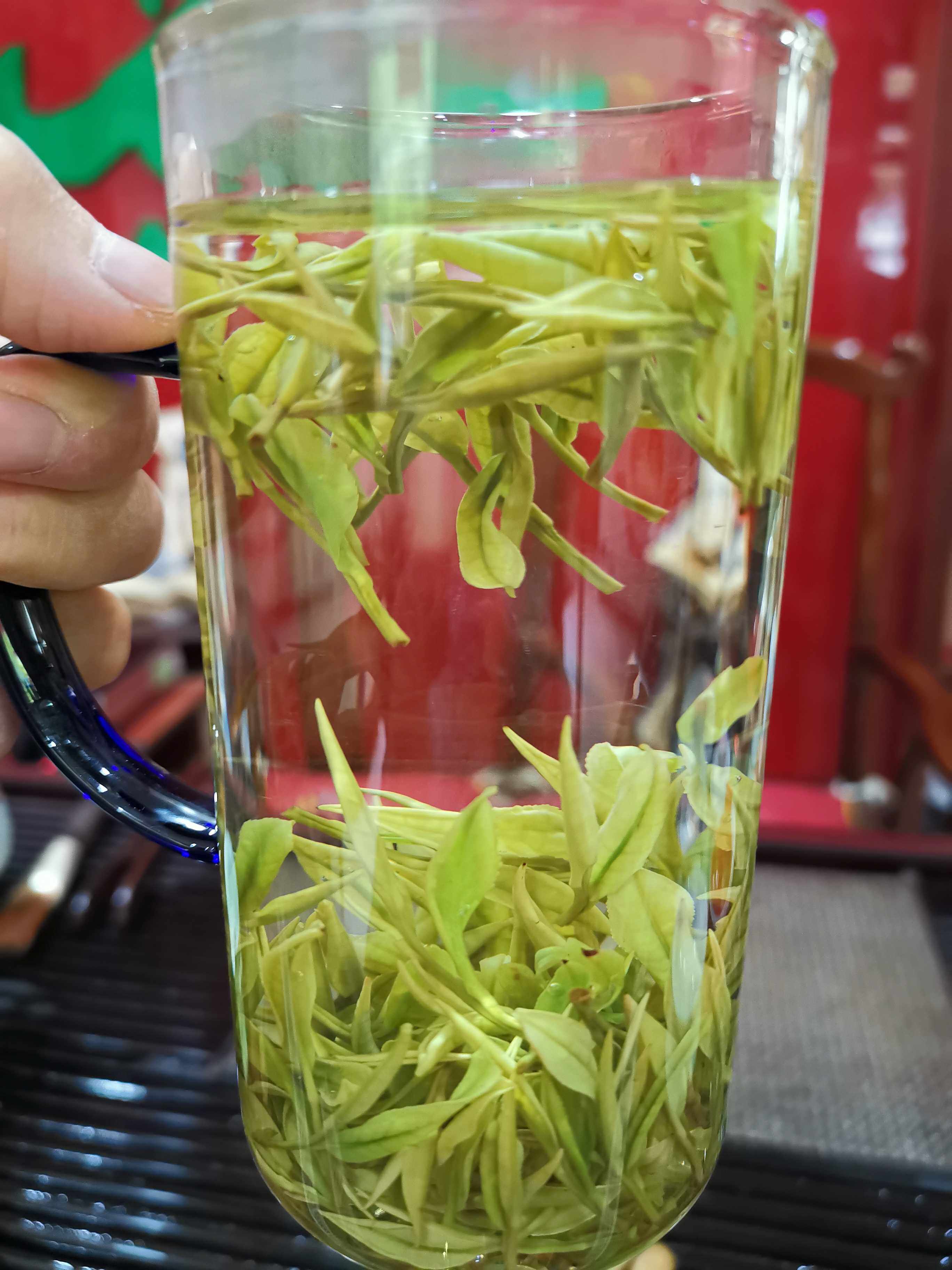 2025浙江安吉白茶500g茶香