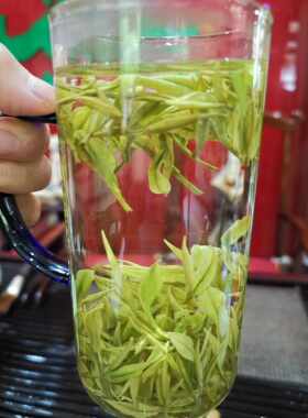 2025浙江安吉白茶500g茶香
