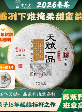 【春茶现货】书呆子26年【天赋一品班章-高杆】古树头春普洱生茶